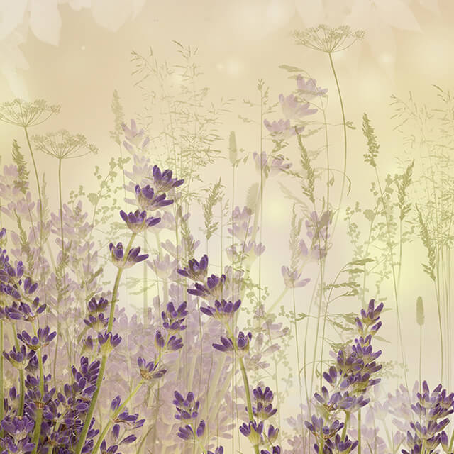 Wall covering - Creativille _ Wallpapers _ Lavender mood 4412