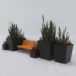 Other architectural elements - Architectural outdoor bench and plant 