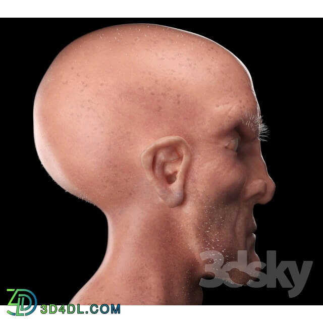 Miscellaneous - Statue Stylized Head