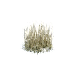 ArchModels Vol124 (140) simple grass medium v2 