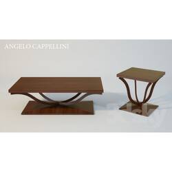 Table - ANGELO CAPPELLINI Table 