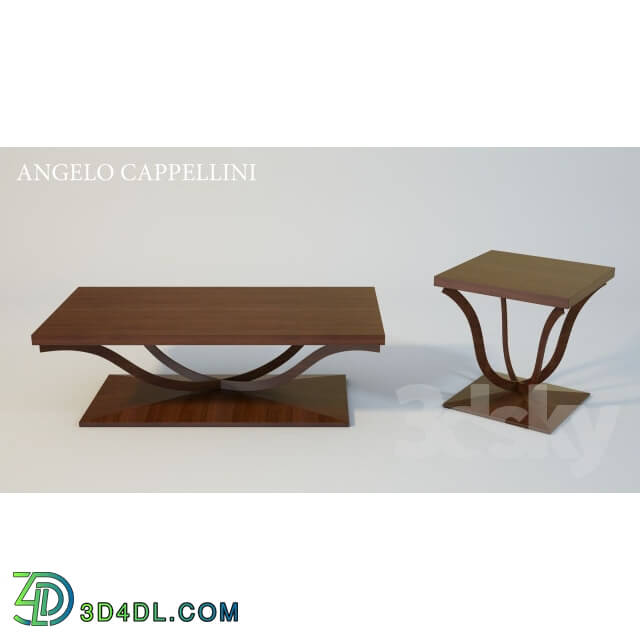 Table - ANGELO CAPPELLINI Table