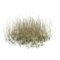 ArchModels Vol124 (141) simple grass large v3 
