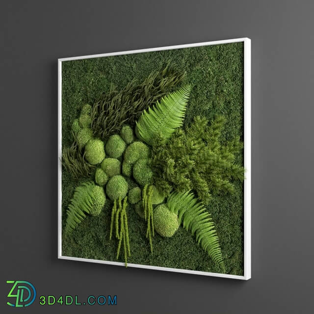 Plant - Panel green