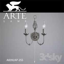 Ceiling light - Sconce Arte Lamp A8392AP-2SS 