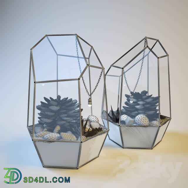 Other decorative objects - The Glass-garden _table terrarium_