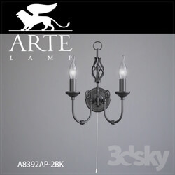 Ceiling light - Sconce Arte Lamp A8392AP-2BK 