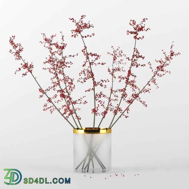 Plant - Autumn branches in glass vase