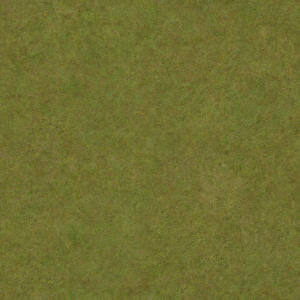 Ground Grass Field Green Patchy (001)
