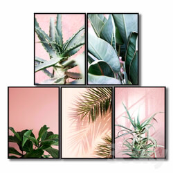 Frame - Posters with pink plants. 