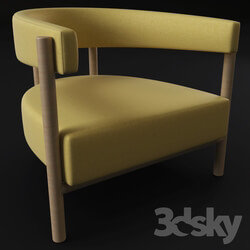 Arm chair - Lounge chair 