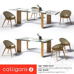 Table _ Chair - Calligaris Tower Wood_ Bloom 
