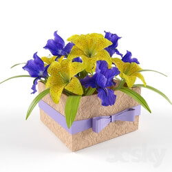 Plant - Box with flowers 