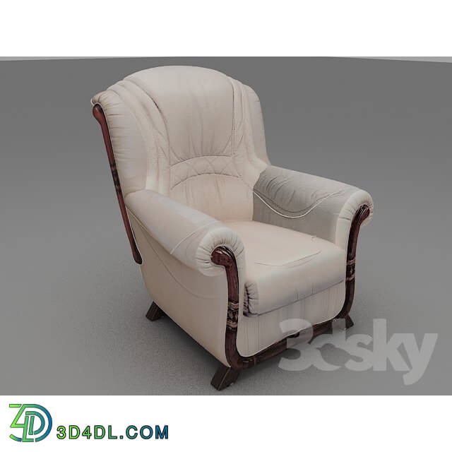 Arm chair - kreslo