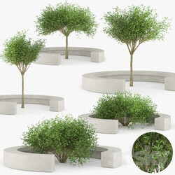 Plant - COMB BY VORA ARQUITECTURA Tree Bench 