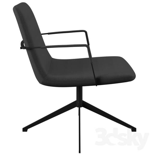 Arm chair - Fechteler Swivel Guest Chair