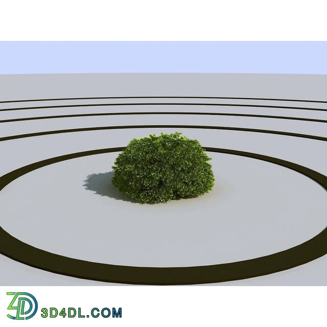 3dMentor HQPlants-02 (034) picea nidiformis