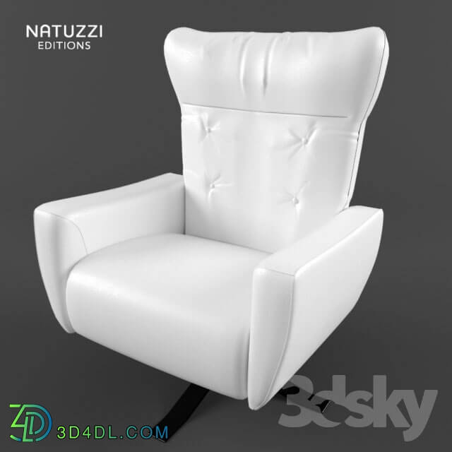 Arm chair - Krehl Natuzzi Edition B944