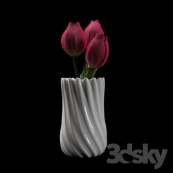 Plant - tulips 