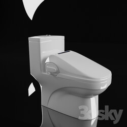 Toilet and Bidet - The toilet 