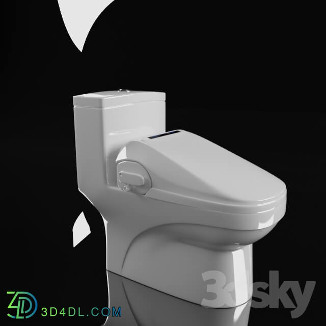 Toilet and Bidet - The toilet