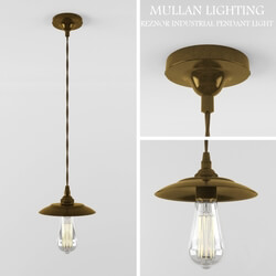 Ceiling light - Mullan Lighting REZNOR INDUSTRIAL PENDANT LIGHT 