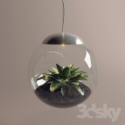 Ceiling light - Lamp with a live plant 