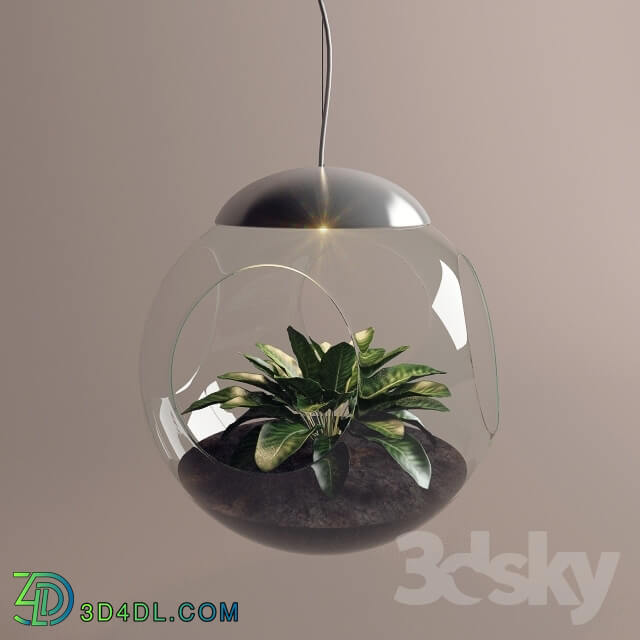 Ceiling light - Lamp with a live plant