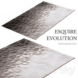 Carpets - Carpet Esquire Evolution by Topfloor 