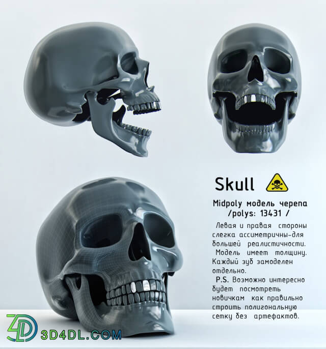 Creature - Skull