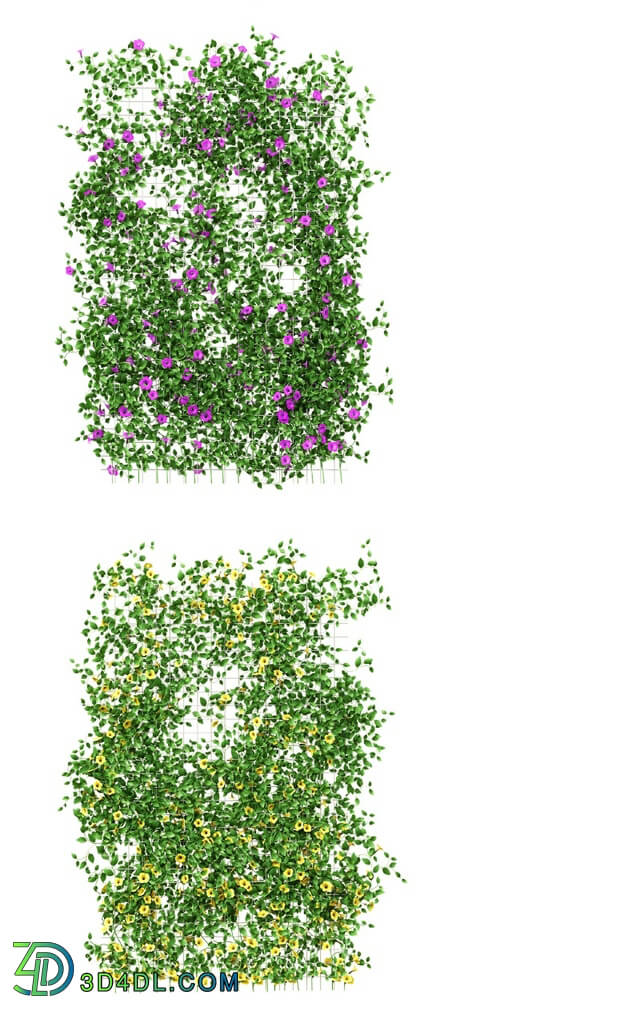 Plant - Wall of flowers on the grid