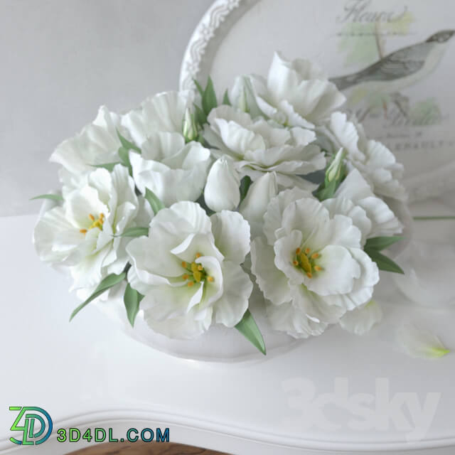 Decorative set - white set