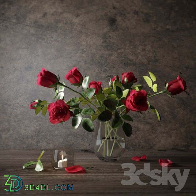 Plant - Red roses