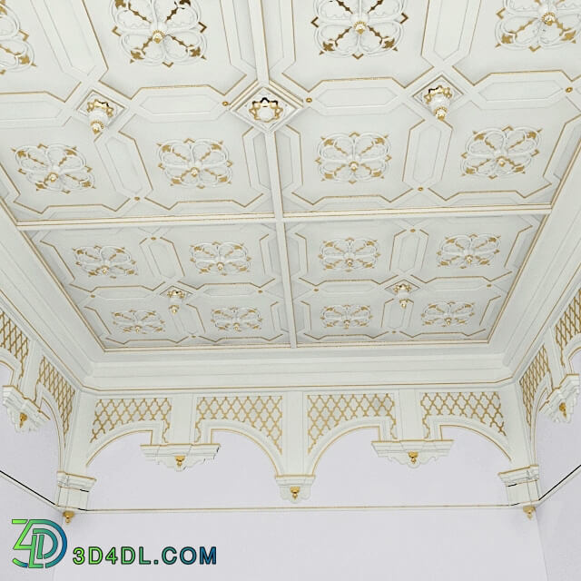 Decorative plaster - Ceiling