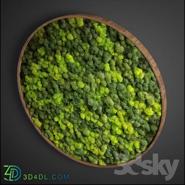 Plant - panel moss circle