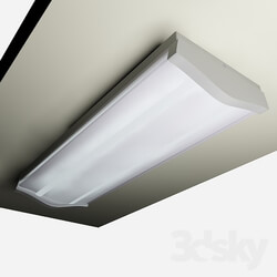 Ceiling light - Daylight lamp 