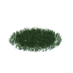 ArchModels Vol126 (018) simple grass large v3 