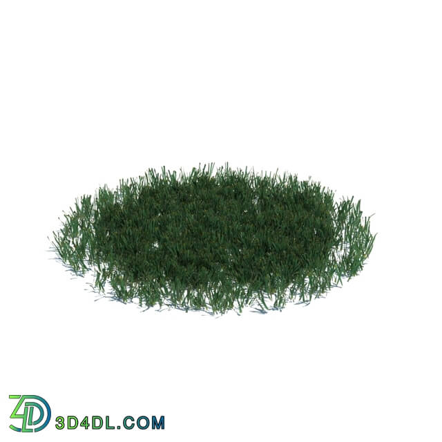 ArchModels Vol126 (018) simple grass large v3