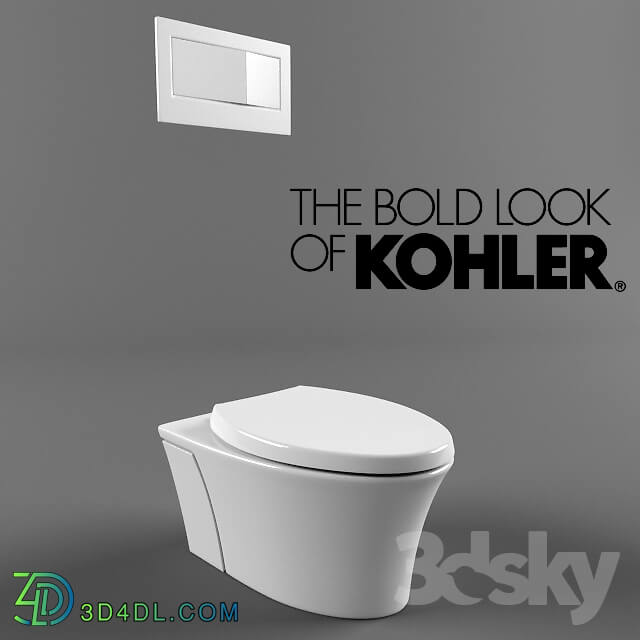 Toilet and Bidet - Kohler Veil