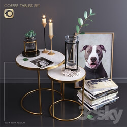 Decorative set - ZARA HOME_coffee tables set 