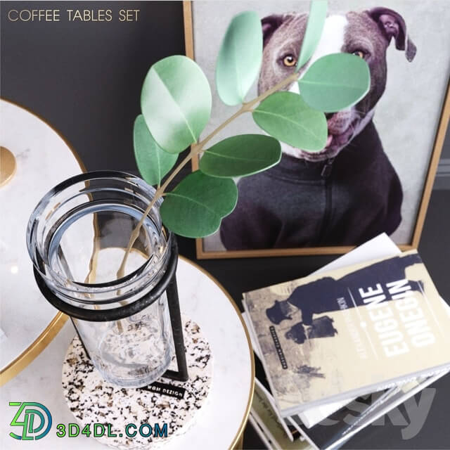 Decorative set - ZARA HOME_coffee tables set