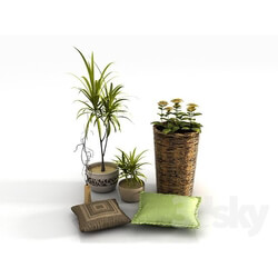 Plant - decorative set 