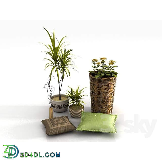 Plant - decorative set