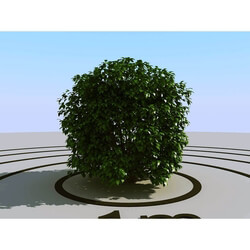 3dMentor HQPlants-01 (025) bush 
