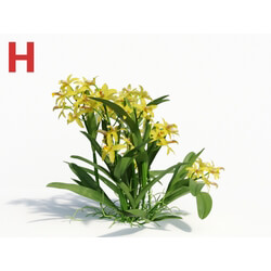 Maxtree-Plants Vol08 Orchid Cattleya Yellow 01 