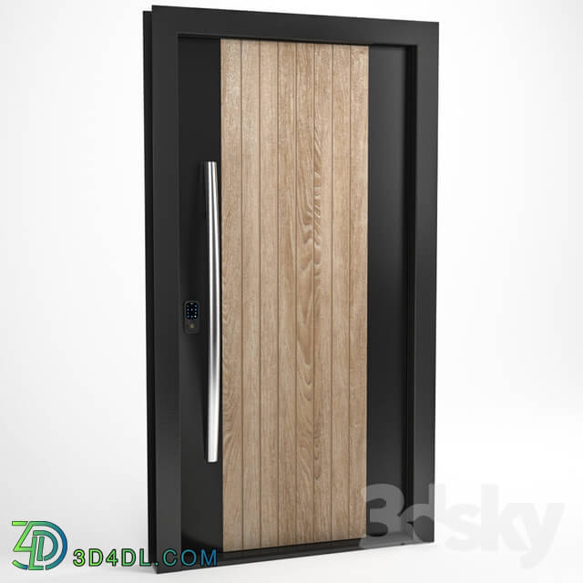 Doors - entrance door