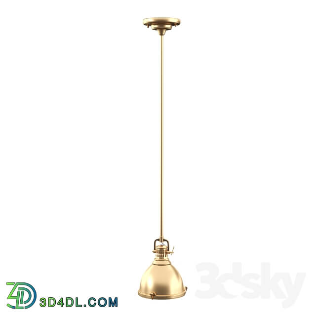 Ceiling light - pendant light