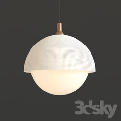 Ceiling light - Modern Ceiling Light 002 