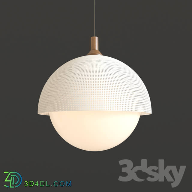 Ceiling light - Modern Ceiling Light 002