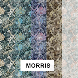 Wall covering - factura _ Morris 